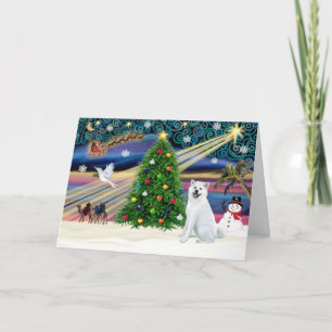 Cartão De Festividades Xmas Magic-Akita White1