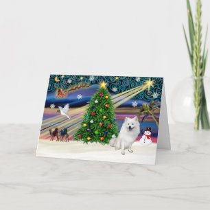 Cartão De Festividades Xmas Magic-American Eskimo Dog