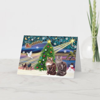 Cartão De Festividades Xmas Magic - Dois gatos Maine Coon