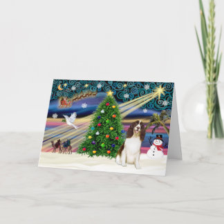 Cartão De Festividades Xmas Magic-English Springer