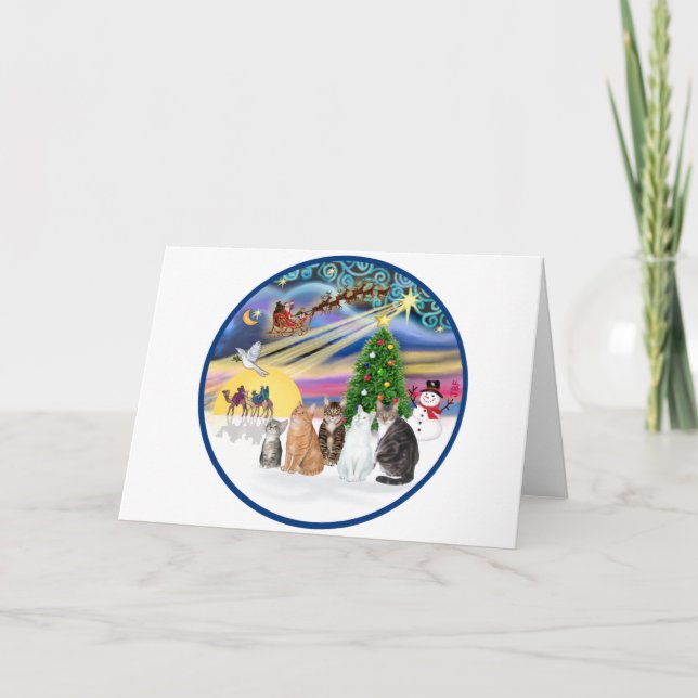 Cartão De Festividades Xmas Magic (R) - Cinco gatos (AmSH) (Frente)