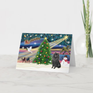 Cartão De Festividades Xmas Magic-Schipperke