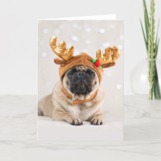 Cartão De Festividades Xmas Pug