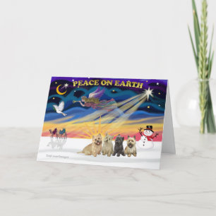 Cartão De Festividades XmasSunrise-4 Cairn Terriers
