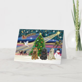 Cartão De Festividades Xms Magic-3Cockers-de-cara