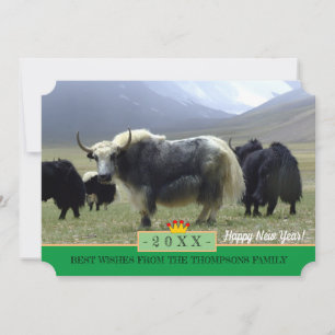 Cartão De Festividades Yaks & Happy New Year! Card /Himalayas, Tibet