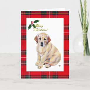 Cartão De Festividades Yellow Labrador Puppy Tartan Natal
