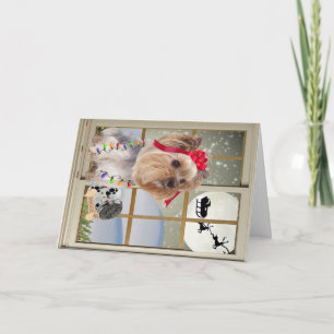 Cartão De Festividades Yorkie Watches For Santa