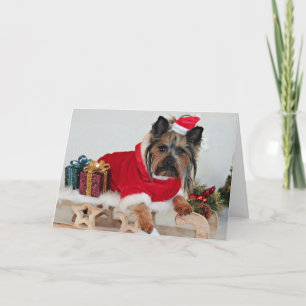 Cartão De Festividades Yorkie Yorkshire Terrier Dog - Christmas Santa Hat