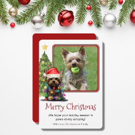 Cartão De Festividades Yorkshire Terrier Christmas Pet Dog One Photo