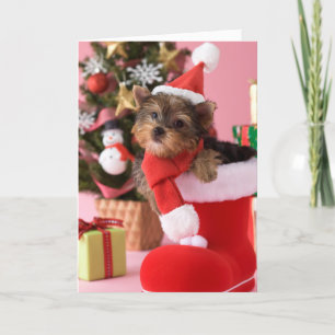 Cartão De Festividades Yorkshire Terrier Puppy and Christmas