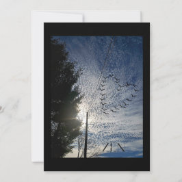 CARTÃO DE FESTIVIDADES ZEN