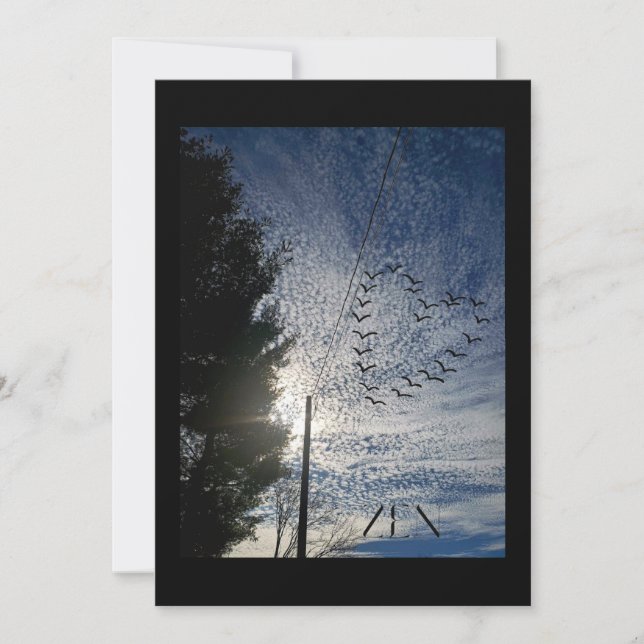 CARTÃO DE FESTIVIDADES ZEN (Frente)