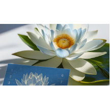 Lealdade de instrução de meditação do YOGA Lotus P