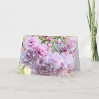 Cartão de flor de cereja