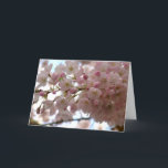 Cartão de Flor de Cereja Personalizar Cartão de Fl<br><div class="desc">Cartões de Flor Branco Linda cereja branca Flor Flor Flor Cartões de Flor e Impressões Cartões e Impressões Personalizados para o Natal Aniversário Parabéns de simpatia Cartões de Flor Branco Personalizados Obtêm Cartões e Impressões de Flor Brancos Bem Brancos por www.kimhunter.ca</div>