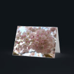 Cartão de Flor de Cereja Personalizar Cartão de Fl<br><div class="desc">Cartões de Flor Branco Linda cereja branca Flor Flor Flor Cartões de Flor e Impressões Cartões e Impressões Personalizados para o Natal Aniversário Parabéns de simpatia Cartões de Flor Branco Personalizados Obtêm Cartões e Impressões de Flor Brancos Bem Brancos por www.kimhunter.ca</div>