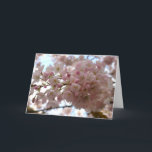 Cartão de Flor de Cereja Personalizar Cartão de Fl<br><div class="desc">Cartões de Flor Branco Linda cereja branca Flor Flor Flor Cartões de Flor e Impressões Cartões e Impressões Personalizados para o Natal Aniversário Parabéns de simpatia Cartões de Flor Branco Personalizados Obtêm Cartões e Impressões de Flor Brancos Bem Brancos por www.kimhunter.ca</div>