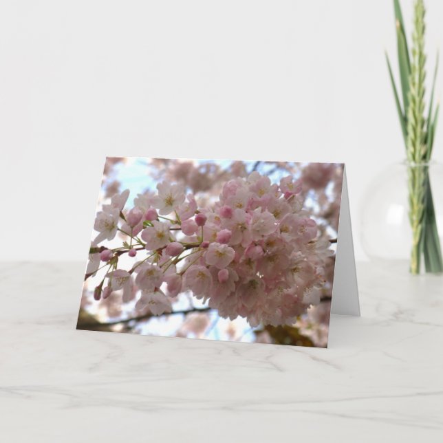 Cartão de Flor de Cereja Personalizar Cartão de Fl (Frente)