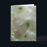 Cartão de Flor de Cereja Personalizar Cartão de Fl<br><div class="desc">Cartões de Flor Branco Linda cereja branca Flor Flor Flor Cartões de Flor e Impressões Cartões e Impressões Personalizados para o Natal Aniversário Parabéns de simpatia Cartões de Flor Branco Personalizados Obtêm Cartões e Impressões de Flor Brancos Bem Brancos por www.kimhunter.ca</div>