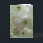 Cartão de Flor de Cereja Personalizar Cartão de Fl<br><div class="desc">Cartões de Flor Branco Linda cereja branca Flor Flor Flor Cartões de Flor e Impressões Cartões e Impressões Personalizados para o Natal Aniversário Parabéns de simpatia Cartões de Flor Branco Personalizados Obtêm Cartões e Impressões de Flor Brancos Bem Brancos por www.kimhunter.ca</div>
