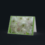 Cartão de Flor de Cereja Personalizar Cartão de Fl<br><div class="desc">Cartões de Flor Branco Linda cereja branca Flor Flor Flor Cartões de Flor e Impressões Cartões e Impressões Personalizados para o Natal Aniversário Parabéns de simpatia Cartões de Flor Branco Personalizados Obtêm Cartões e Impressões de Flor Brancos Bem Brancos por www.kimhunter.ca</div>