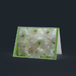 Cartão de Flor de Cereja Personalizar Cartão de Fl<br><div class="desc">Cartões de Flor Branco Linda cereja branca Flor Flor Flor Cartões de Flor e Impressões Cartões e Impressões Personalizados para o Natal Aniversário Parabéns de simpatia Cartões de Flor Branco Personalizados Obtêm Cartões e Impressões de Flor Brancos Bem Brancos por www.kimhunter.ca</div>