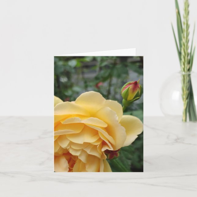 Cartão de flor de rosa amarelo (Frente)