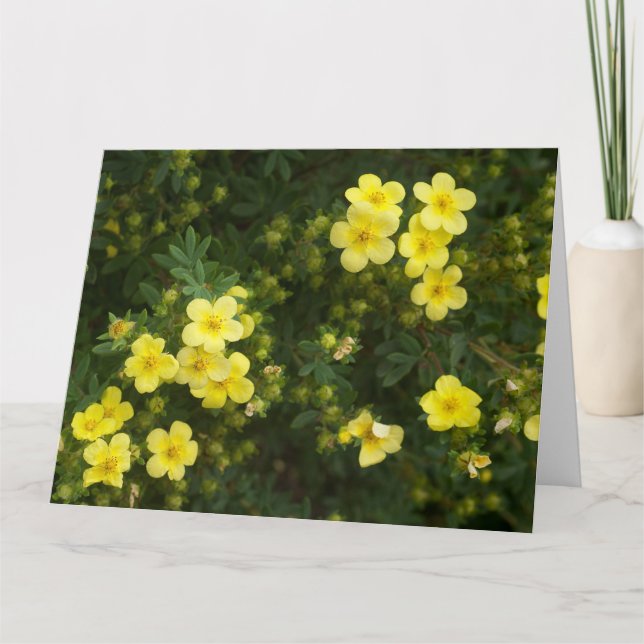 Cartão de Flores Amarelo (Frente)