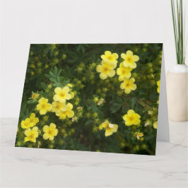 Cartão de Flores Amarelo