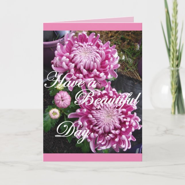 Cartão de Flores de Crisântemo Têm um Belo Dia (Frente)