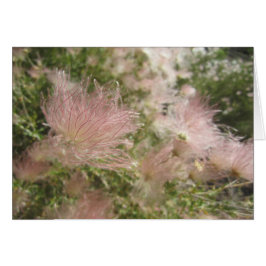 Cartão de Flores Selvagens do Alto Deserto