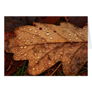 Cartão de folha amarelo de outono