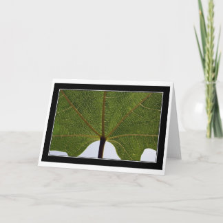 Cartão De "folha figo "