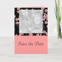 Cartão de Foto de Cerejeiras em Flor em Preto