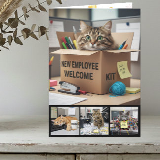 Cartão de Foto de Gatos Divertidos no Escritório,