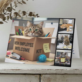 Cartão de Foto de Gatos Divertidos no Escritório,