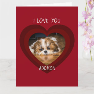 Cartão de foto do coração do amor do adorável shih