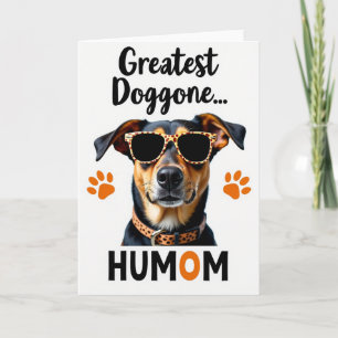 Cartão de Foto do Humom do Cachorro Legal