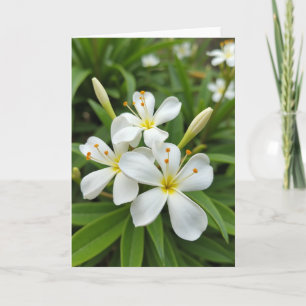 Cartão de Foto Floral Branco Mate