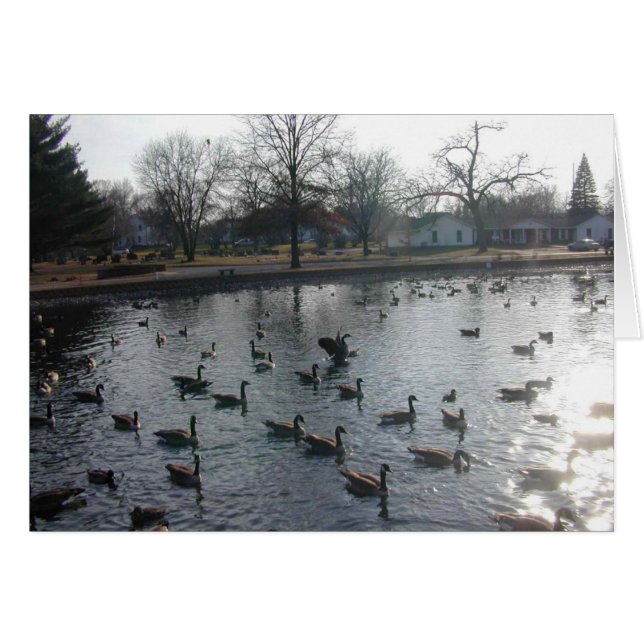 Cartão de Ganso Flaping (Frente Horizontal)