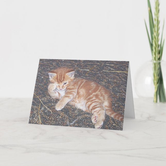 Cartão de Gatinho Feral com Listras Laranja (Frente)