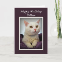 Cartão de Gato Branco Feliz de Aniversário da Lill