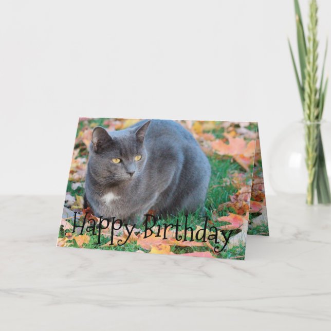 Cartão de gato colorido (Frente)