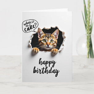Cartão de Gato Curioso Doce
