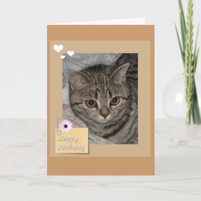 Cartão de gato de aniversário (Frente)