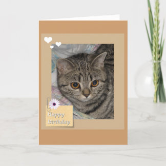 Cartão de gato de aniversário