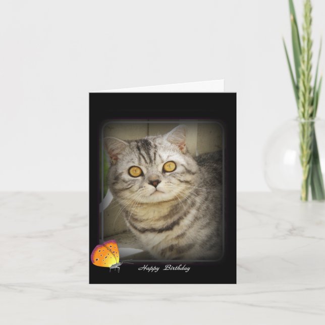 Cartão de gato de aniversário (Frente)
