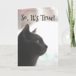 Cartão de Gato de Aniversário Engraçado