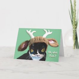 Cartão de gato de Natal festivo